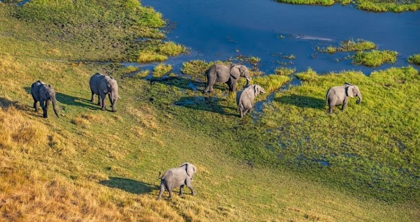 Botswana