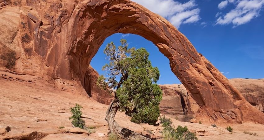 Moab
